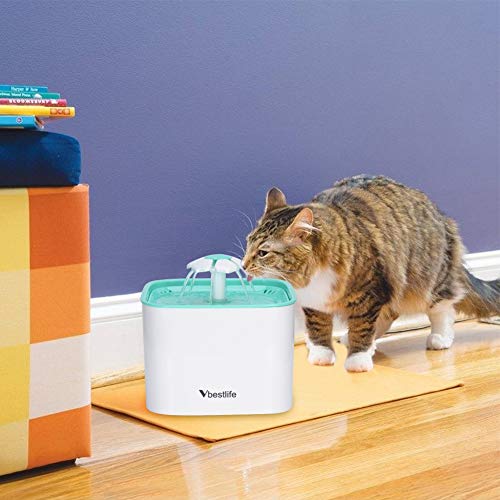 Salmue 6 Filtros de 2L Fuentes de Agua Gato/Perro para Fuentes de Flores, Filtros de Repuesto de Fuentes de Mascotas, filtros de Agua para Fuentes de Agua Potable para Mascotas