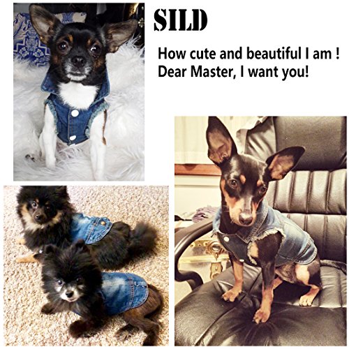 SILD - Chaqueta Vaquera con Capucha para Perros medianos y pequeños, diseño Vintage Desgastado, Color Azul (M)