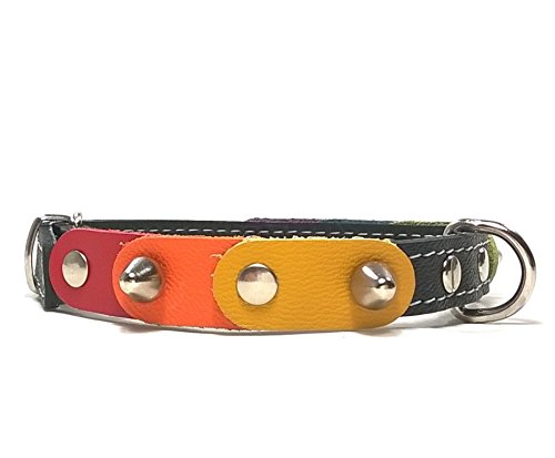 Superpipapo Original Collar para Perros, Todas Las Tallas, Correa Opcional, Diseño Orgullo Gay con los Colores Arcoiris Arco-Ciel, 30 cm XXS: Cuello 20-25 cm, Ancho 13mm