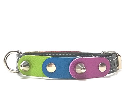 Superpipapo Original Collar para Perros, Todas Las Tallas, Correa Opcional, Diseño Orgullo Gay con los Colores Arcoiris Arco-Ciel, 30 cm XXS: Cuello 20-25 cm, Ancho 13mm