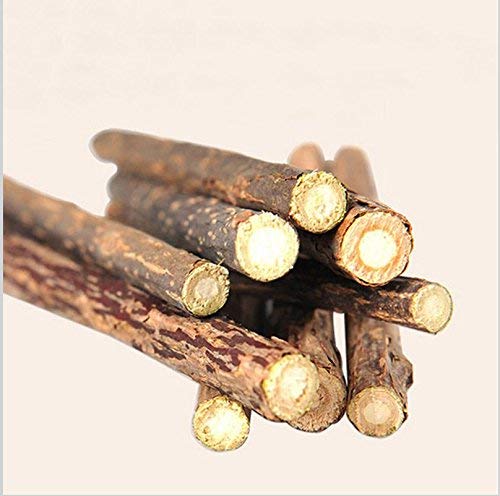 25pcs Gato Limpieza de los Dientes aromatizar Nepeta Cataria Natural Animal Gato molaire dentífrico Baton silvervine Actinidia Frutas Matatabi collations Gato Batons