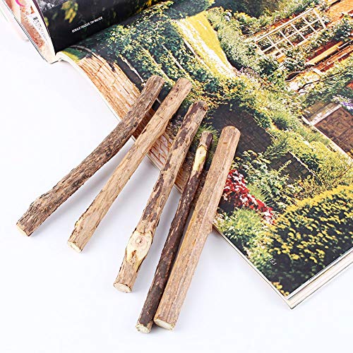 25pcs Gato Limpieza de los Dientes aromatizar Nepeta Cataria Natural Animal Gato molaire dentífrico Baton silvervine Actinidia Frutas Matatabi collations Gato Batons