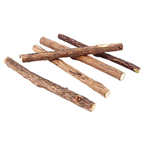 25pcs Gato Limpieza de los Dientes aromatizar Nepeta Cataria Natural Animal Gato molaire dentífrico Baton silvervine Actinidia Frutas Matatabi collations Gato Batons