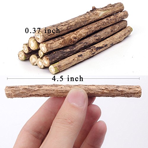 AIDIYA Catnip De Hierba Gatera De Matatabi para Gatos Natural Cuidado Dental Chew Catnip Sticks para Dientes Diámetro de Limpieza (M)