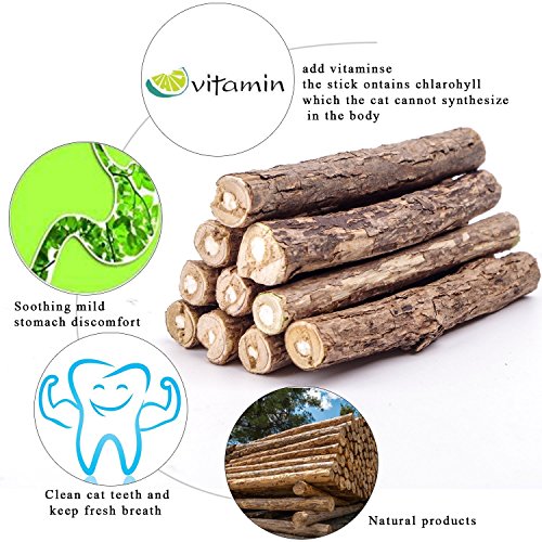 AIDIYA Catnip De Hierba Gatera De Matatabi para Gatos Natural Cuidado Dental Chew Catnip Sticks para Dientes Diámetro de Limpieza (M)