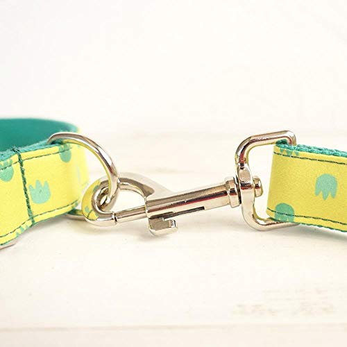 AOMEO Collar para Perro con Correa para Perros Y Accesorios para Gatos Y Perros Geeignet für Kleine, mittlere Oder große Hunde Benutzerdefinierte Größe