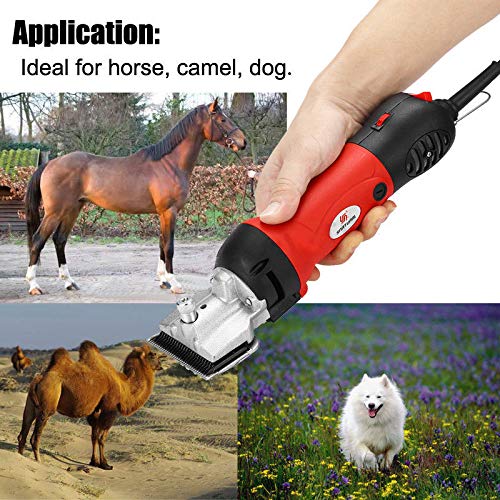 Caballos Esquiladora eléctrica Profesional,Maquina de Esquilar para Ovejas,6 velocidade ajustable Trasquiladora para Cabras,Llama,Perro Lanudo,Mulos,Burro,Alpaca Universal -con estuche de transporte