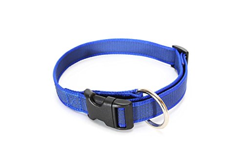 Julius-K9 Collar Color & Gray, 25 mm (39-65 cm), Azul-Gris