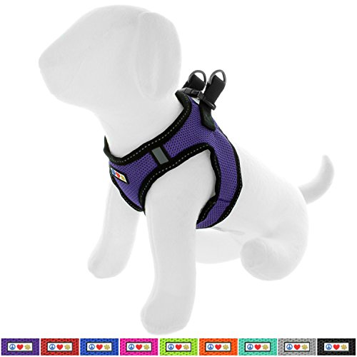 Pawtitas Arnes de Tela Antitirones Perro y Cachorros, Chaleco Acolchado para Mayor Comodidad, diseño Resistente, Ajustable y Transpirable Pequeño Morado