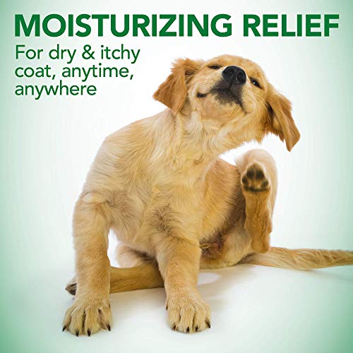 Vet's Best Moisture Mist Dog Dry Skin Conditioner y Detangler Spray, Alivia la Picazón de la Piel, Refresca y Calma, 470ml