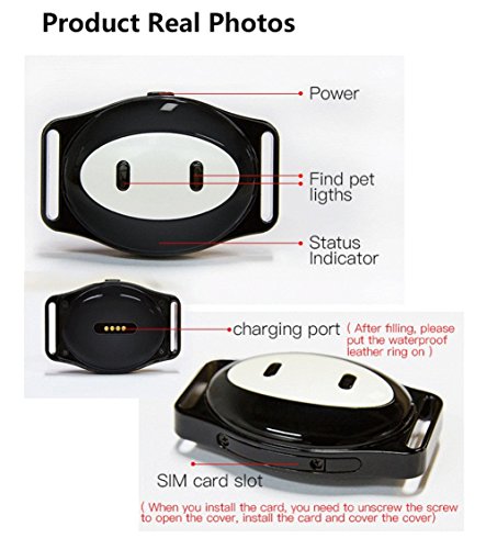WYXIN GPS/WiFi/lbs Mascotas Localizador Mini Seguimiento De Dispositivos Tracker Buscador Impermeable IP68 Recordatorio Alimentación para Perros Gatos Cachorro
