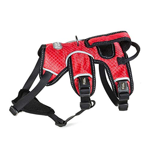 Xiyyou Cinturino Pettorale per Cani Senza Cordino Di Trazione Medio E Collare per Cani Di Taglia Grande, 2, S (Busto 40-56 Cm)