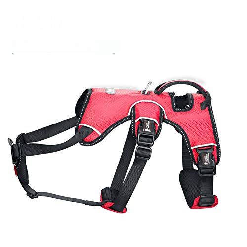 Xiyyou Cinturino Pettorale per Cani Senza Cordino Di Trazione Medio E Collare per Cani Di Taglia Grande, 2, S (Busto 40-56 Cm)