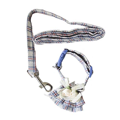 Xiyyou Corda Da Trazione per Cani Colletti per Cani Di Piccola E Media Taglia con Cordino In Due Pezzi per Animali Domestici, B1, M