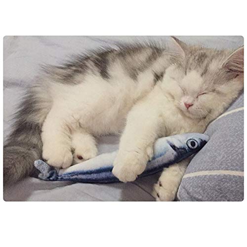 6 Piezas Juguete Hierba Gatera,para Gatos Catnip Juguetes Simulación Peluches Pescado Shape Interactiva Mascota Chew Bite Suministros para Gato,Pescados del Juguete,Interactiva Mascota (20 Cm)