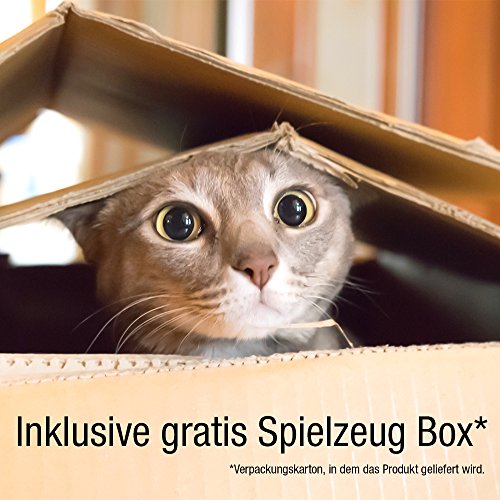 Bella & Balu Red para gatos (transp. | 8 x 3) Incl. gancho, tacos, cuerda e instrucciones – Red de protección para gato transparente para balcones, terrazas, ventanas y puertas