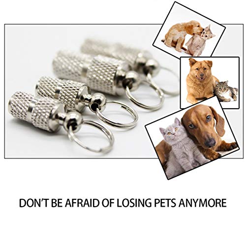 BIYI Mini Etiqueta para Mascotas de Metal Tarjeta de Identidad de arnés de Perro Encantador Tarjeta de Marco Anti-pérdida de Moda Accesorios para Mascotas Lindos Plata