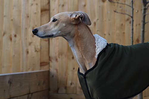 Chubasquero impermeable con forro de forro polar, color verde oliva, con correa de clip ajustable a juego, galgo italiano, mirlo