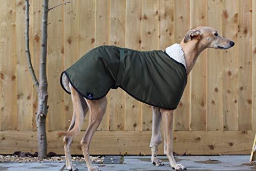 Chubasquero impermeable con forro de forro polar, color verde oliva, con correa de clip ajustable a juego, galgo italiano, mirlo