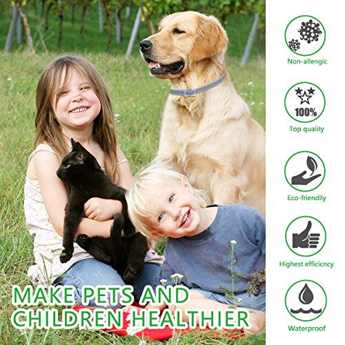 DEWEL Collares Antiparasitos para Perros y Gatos contra Pulgas,Garrapatas y Mosquitos,Tamaño Ajustable e Impermeable para Mascota Pequeño Mediano