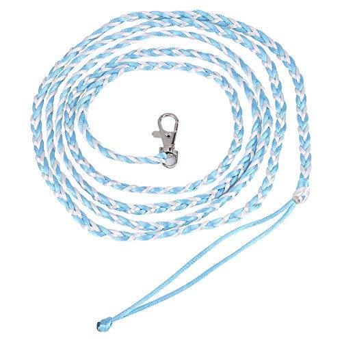 Fdit Ropa Ardilla Mascota Chaleco de Arneses Chaleco de la Historieta con Correa de Plomo para Caminar Ferret Chinchilla Ardilla de Pequeños Animales () Azul Claro