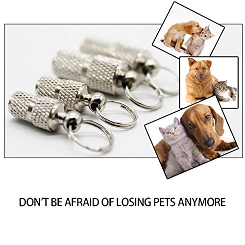 Funnyrunstore Mini Metal Pet Tag Tarjeta de Identidad de arnés de Perro Encantador Tarjeta de Marco Anti-pérdida de Moda Accesorios para Mascotas Lindos Plata