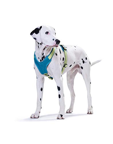 HUNTER Arnés Perros, de Nailon/Neopreno