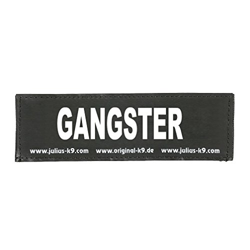 Julius-K9 162LR-G-32311 Parches Fosforescentes, Intercambiables para los Arneses de Perro