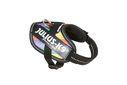 Julius-K9 16IDC - Power Harness