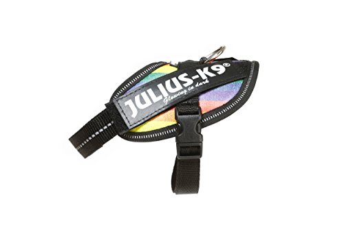 Julius-K9 16IDC - Power Harness