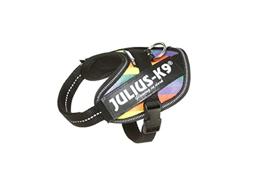 Julius-K9 16IDC - Power Harness