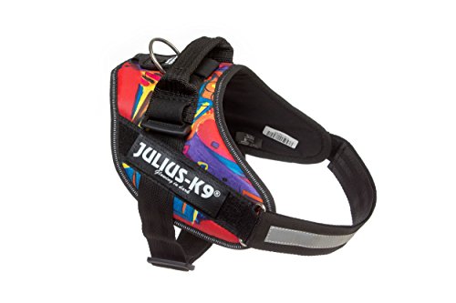 Julius-K9 16IDC - Power Harness