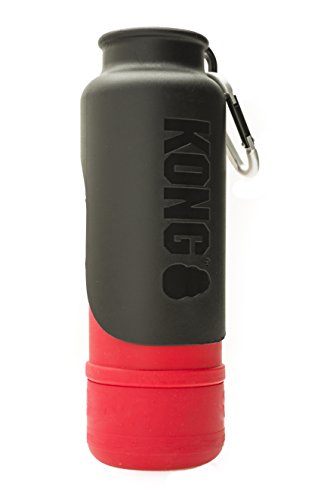 Kong Kong Kong H2O KGK9RED Botella de agua de acero inoxidable, 700 ml, talla única