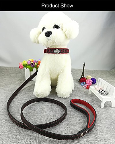 Newtensina Moda Perro Collar y correa conjunto Correas de nylon tejidas Collar de Bling Collar de cuero Diamante cachorro con correa para perros
