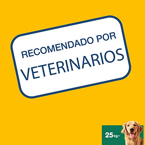 Pedigree Pack de 56 Dentastix de uso diario para la limpieza dental de perros grandes (Pack de 1)