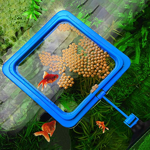 PETLOFT Alimentador Automático Peces, Programable Comedero Automático Peces Temporizador Acuario Alimentador de Tanque para Tortuga Pescado Dispensador 200ml con Anillo de Alimentación Flotante