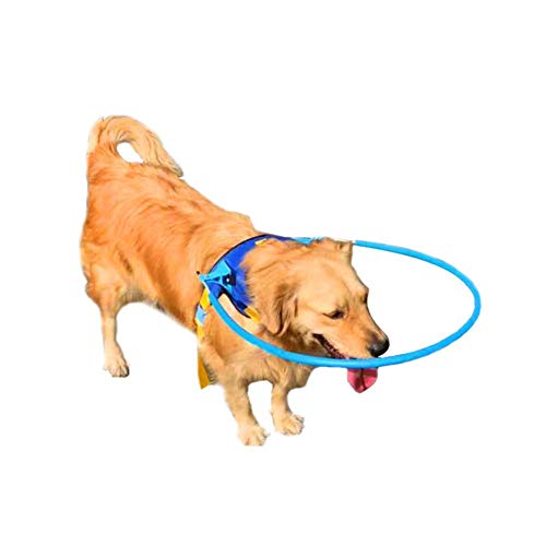 soundwinds Cuello de Perro Ciego Anillo de protección contra Mascotas para Perros Ciegos Anillo Protector contra Mascotas Collar de protección Animal para Perros Ciegos