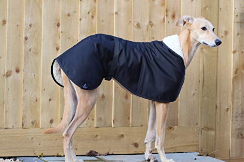 The Trendy Whippet Chubasquero Impermeable con Forro de Forro Polar, Color Negro, con Correa de Clip Ajustable a Juego, Verdugo Italiano, mirlo