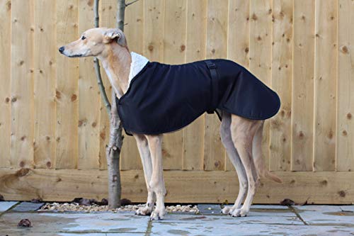 The Trendy Whippet Chubasquero Impermeable con Forro de Forro Polar, Color Negro, con Correa de Clip Ajustable a Juego, Verdugo Italiano, mirlo