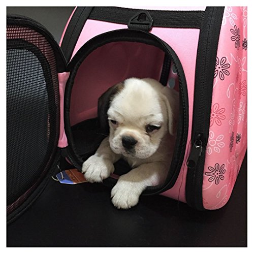 Transportin Perro/Transportin Gato, Respirable Plegable Bolsa de Viaje para Mascotas (M Espuma, Rosa)