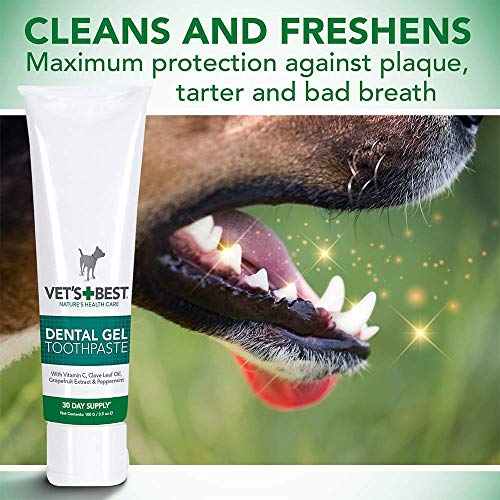 Vet's Best Pasta de Dientes para Perros, Limpieza de Dientes y Gel para el Cuidado Dental de Aliento Fresco, 100g