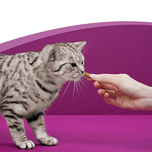 Whiskas Dentabites de 40g para higiene oral de uso diario para gatos (Pack de 8)