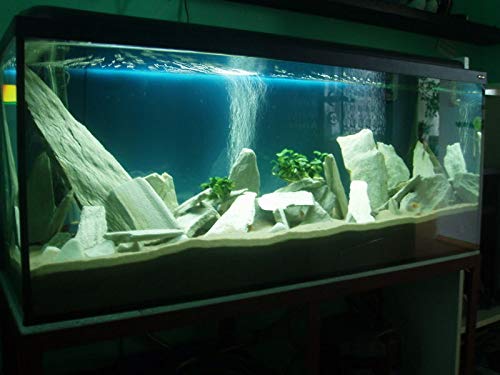 25 kg de piedra de pizarra blanca natural para una roca de acuario viva
