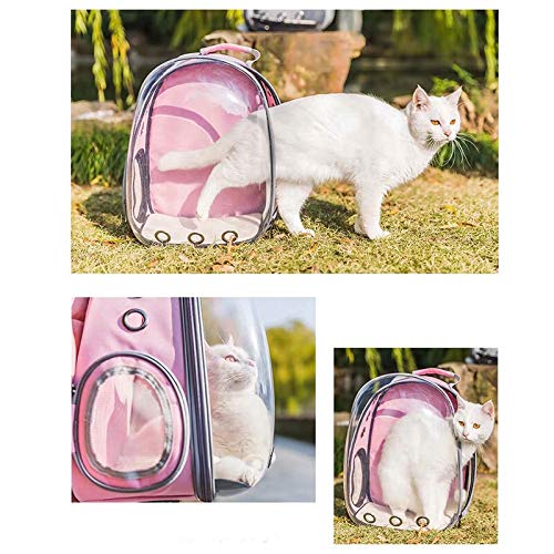 6 Colores del Gato del Animal doméstico del Mochila Bolso Transparente del Gato del Perro al Aire Libre Senderismo Bolsa de Viaje for Mascotas portátil de Espacio Gato Bolsa de Transporte Jaula Bolsa