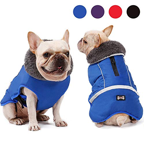 Alimentos para Mascotas Perro Ropa de Invierno Ropa for Mascotas Ropa de la Chaqueta de Invierno Perro Perro Impermeable for Perros a Prueba de Agua Caliente Venta Regalo (Color : Red, Size : L)