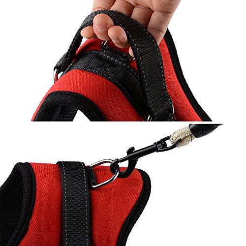 Arnés para Perros, Petlove Correa Suave Acolchado No Hay Arneses de Tirón Con Todo Tipo de Tamaño - XL , Rojo