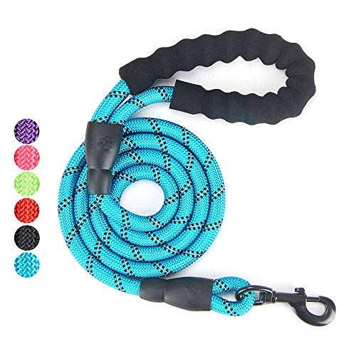 Baomasir Hundeleine Fuerte Correa cómodo Agarre Acolchado, Costuras Reflectantes de la Cuerda de Entrenamiento para Seguridad Nocturna, Ideal para Todos los tamaños de Perros, Azul