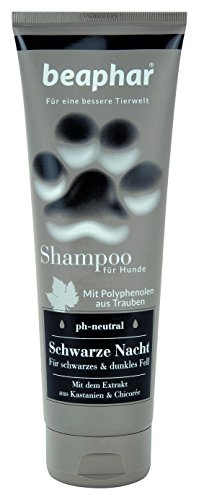 Beaphar Premium Champú Negra Noche para Perros | Perro Negras para & | Piel Brillante | PH Neutral | de Pelo para Negra Oscura labradore etc, 250 ml