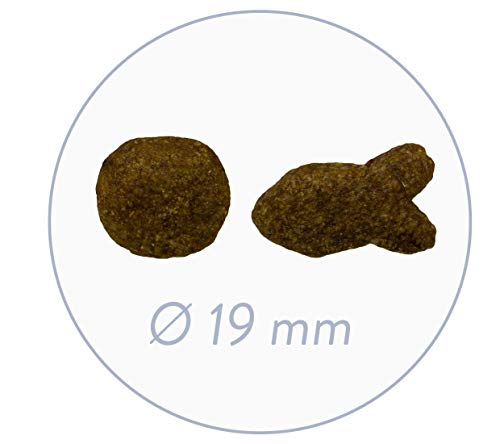 bosch HPC Adult | con Pescado y Patata | Comida seca completa para perros adultos de todas las razas | 3 kg