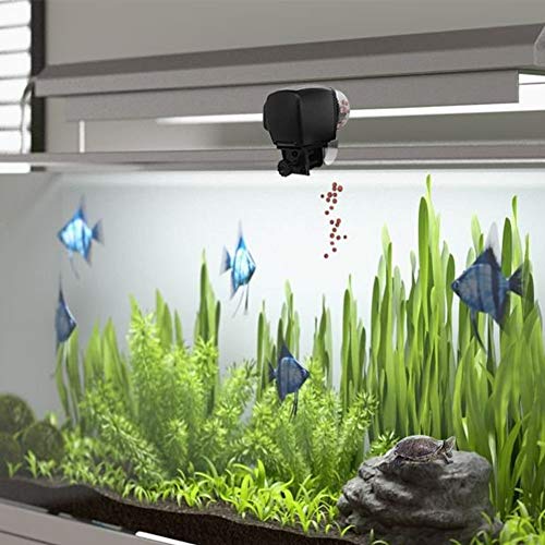 Cacoffay Digital Monitor Automático Pez Alimentador Dos velocidades Ajuste Pez Tortuga Alimentador para Acuario Pez Tanque Vacaciones Fin de Semana Pez Comida Dispensadores
